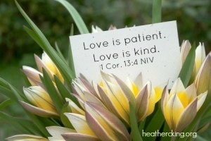 Photo by Cora Miller