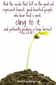  Photo by Weerayut Kongsombut 