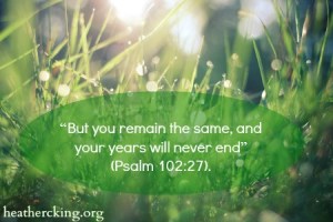 Photo by Viktor Hanacek