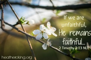 Photo by Viktor Hanacek at PicJumbo