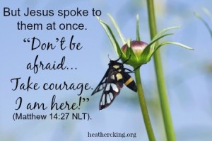 matthew14, photo by Decha Thapanya; 