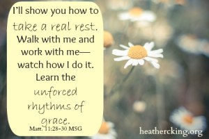 matthew11, photo from picjumbo