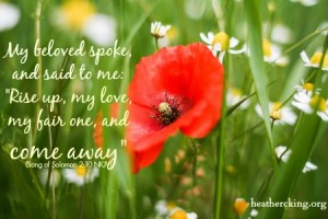 songofsolomon2, photo from PicJumbo.com