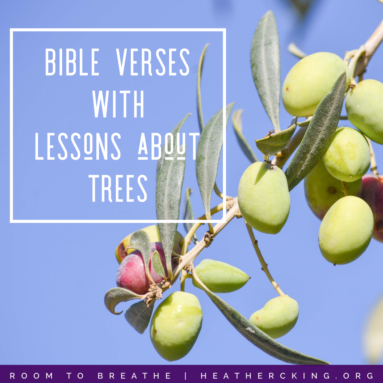Bible Verses with Lessons about Trees – Heather C. King – Room to Breathe